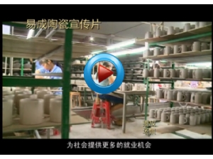 Company profile