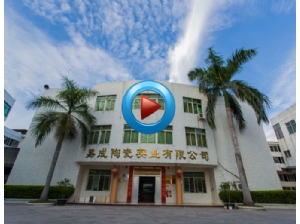 Corporate Image Video